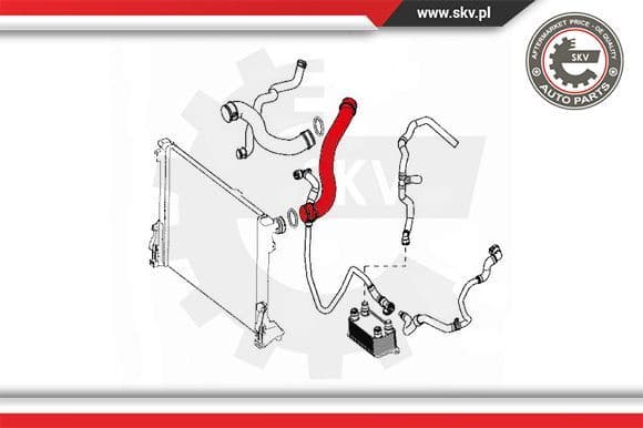 Radiator Hose 43SKV735