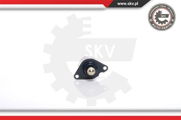 Idle Control Valve, air supply 08SKV017