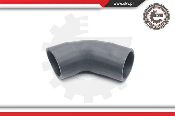 Charge Air Hose 24SKV219