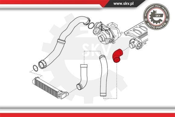 Charge Air Hose 24SKV219 - image 3