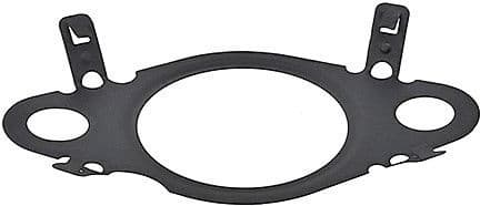 Gasket EGR valve 478.430