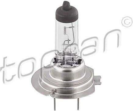 Bulb, cornering light 108 842