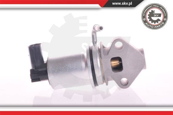 EGR Valve 14SKV008
