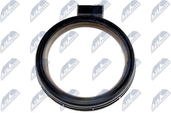 Shaft Seal, crankshaft NUP-PL-002