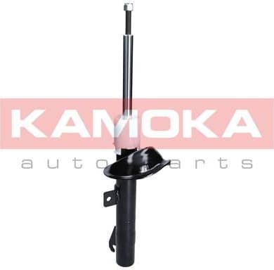 Shock Absorber 2000209