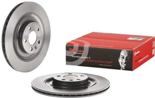 Brake discs kit rear, (2pcs), Top Quality 09.C939.11