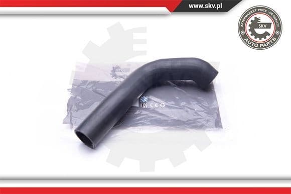 Radiator Hose 43SKV707