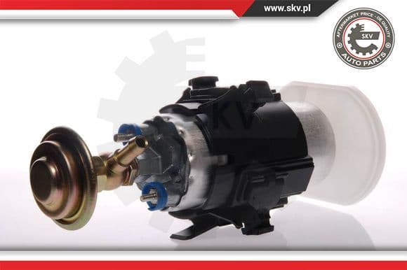 Fuel Pump 02SKV270