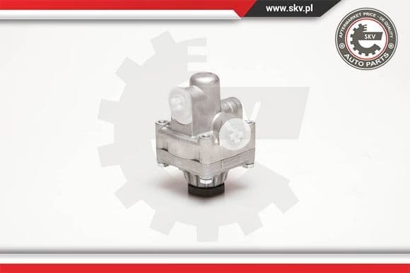 Hydraulic Pump, steering 10SKV017