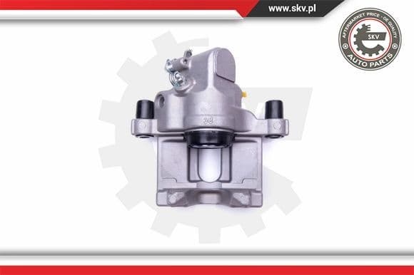Brake Caliper 42SKV544