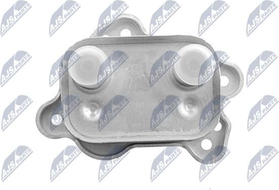 CCL-BM-006 - image 3