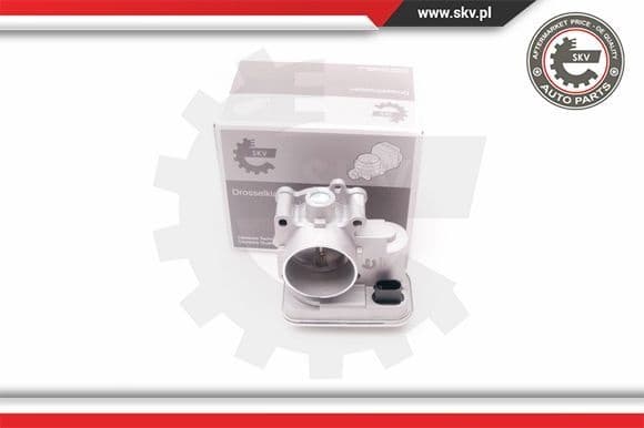 Throttle Body 12SKV066