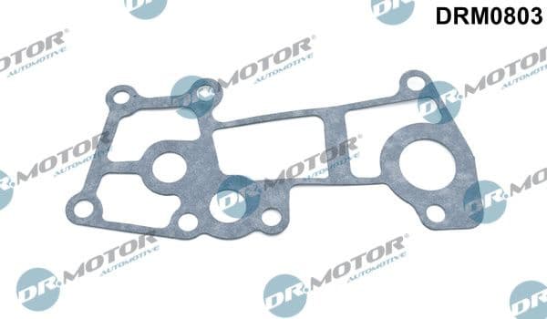 Gasket, coolant flange DRM0803