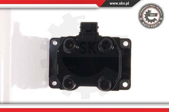 Ignition Coil 03SKV010
