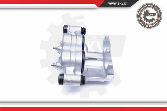 Brake Caliper 42SKV861