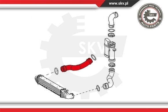 Charge Air Hose 24SKV627 - image 4