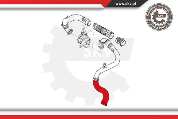 Charge Air Hose 24SKV810 - image 4