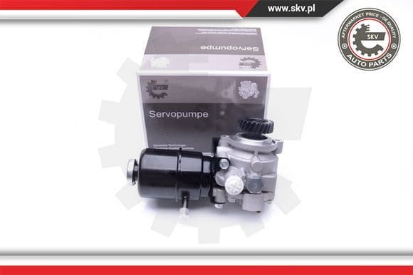 Hydraulic Pump, steering 10SKV274
