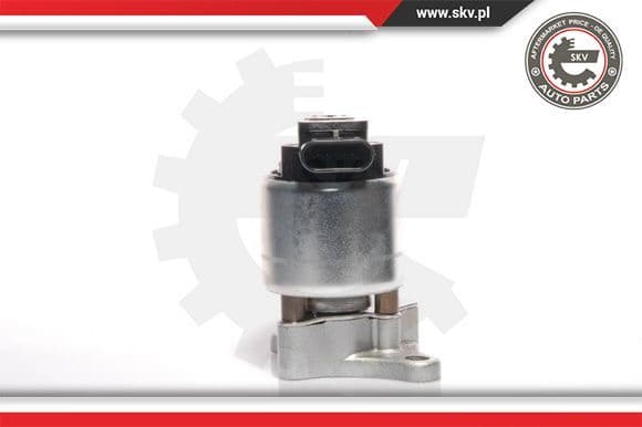 EGR Valve 14SKV041