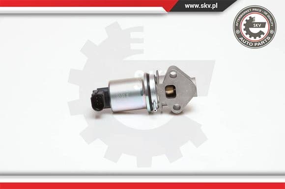 EGR Valve 14SKV029