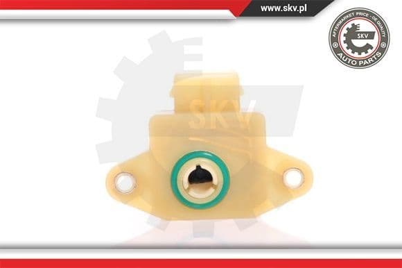 Sensor, throttle position 17SKV009