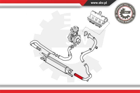 Charge Air Hose 24SKV994