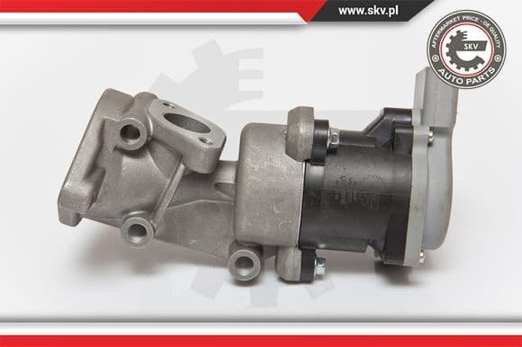 EGR Valve 14SKV073