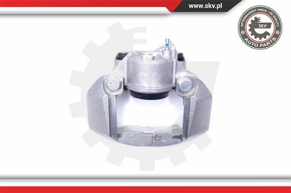 Brake Caliper 42SKV111