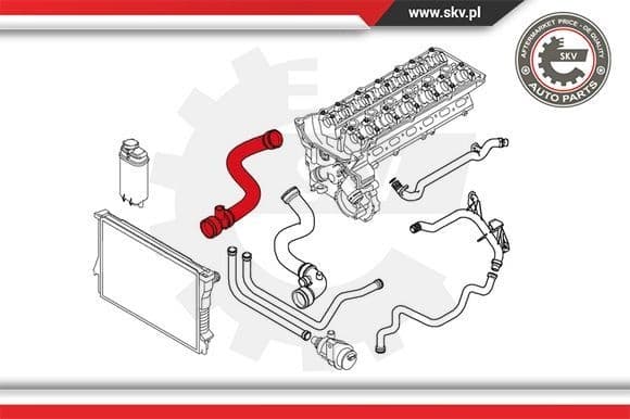 Radiator Hose 24SKV239 - image 4