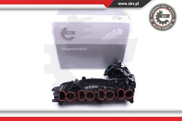 Intake Manifold Module 49SKV018