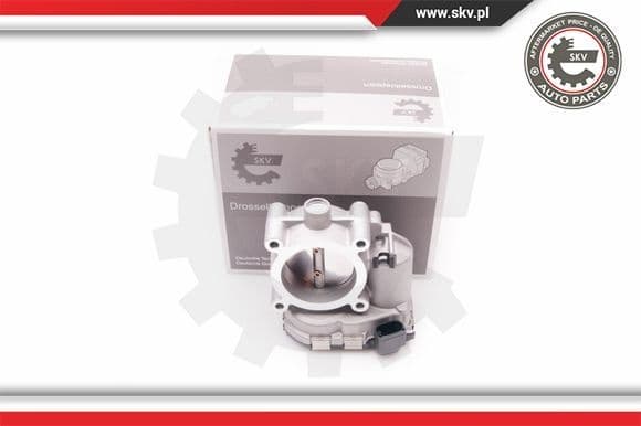 Throttle Body 12SKV067