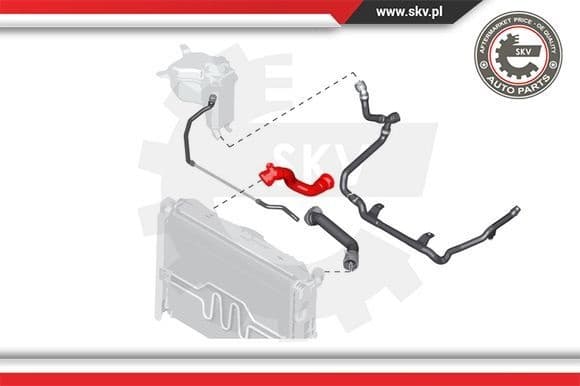Radiator Hose 24SKV248
