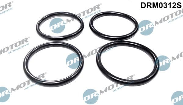 Gasket Set, intake manifold DRM0312S