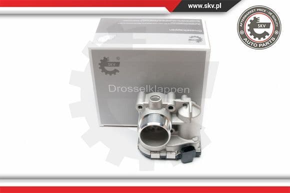 Throttle Body 12SKV041