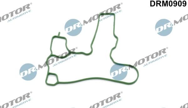 Gasket, crankcase ventilation DRM0909