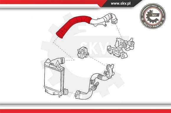 Charge Air Hose 24SKV959 - image 4