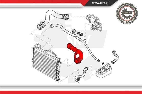 Radiator Hose 24SKV242 - image 4
