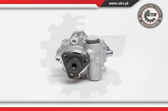 Hydraulic Pump, steering 10SKV014