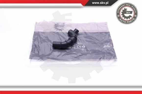 Hose, crankcase ventilation 31SKV114