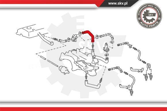 Hose, crankcase ventilation 31SKV114 - image 4