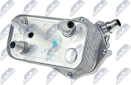 CCL-BM-013 - image 2