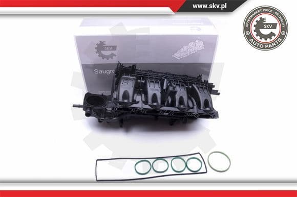 Intake Manifold Module 49SKV026