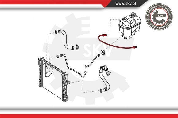 Radiator Hose 43SKV736