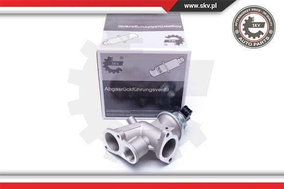 EGR Valve 14SKV181