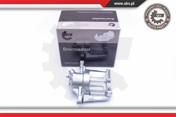 Brake Caliper 42SKV842