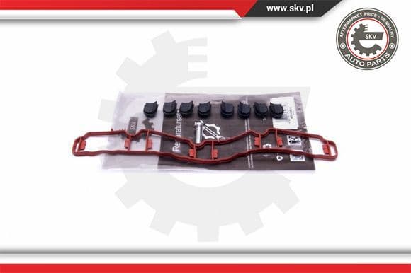 Repair Kit, intake manifold module 49SKV514