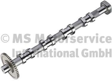 Camshaft 50007712