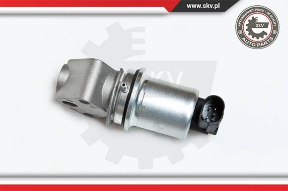 EGR Valve 14SKV007