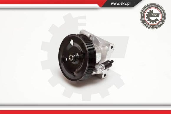 Hydraulic Pump, steering 10SKV001