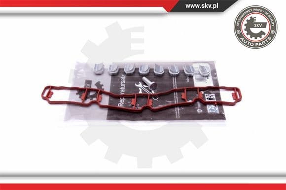 Repair Kit, intake manifold module 49SKV510